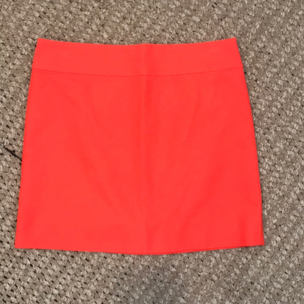 J Crew Skirt